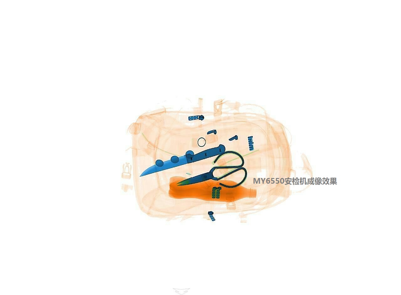 X光機(jī)掃描圖像-牧原